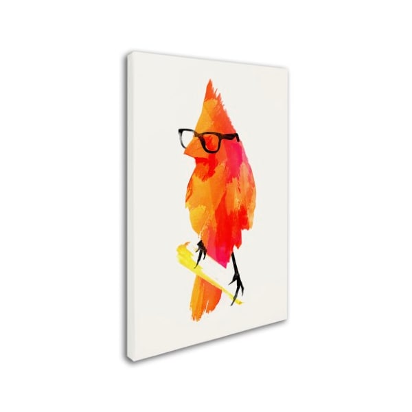 Robert Farkas 'Punk Birdy' Canvas Art,22x32